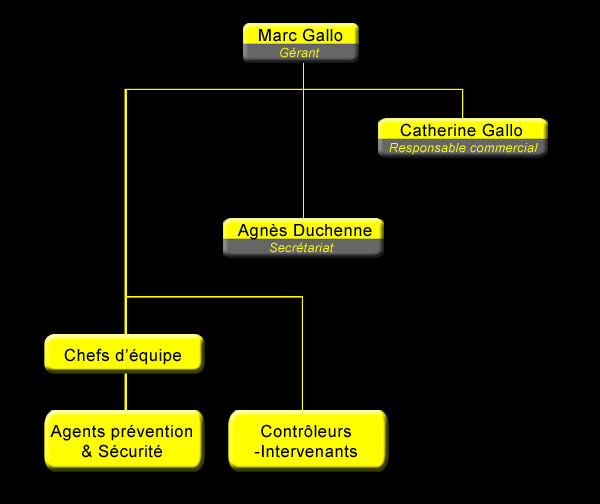 organigramme